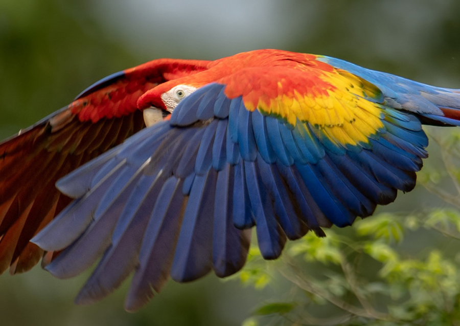 Costa Rica es aventura